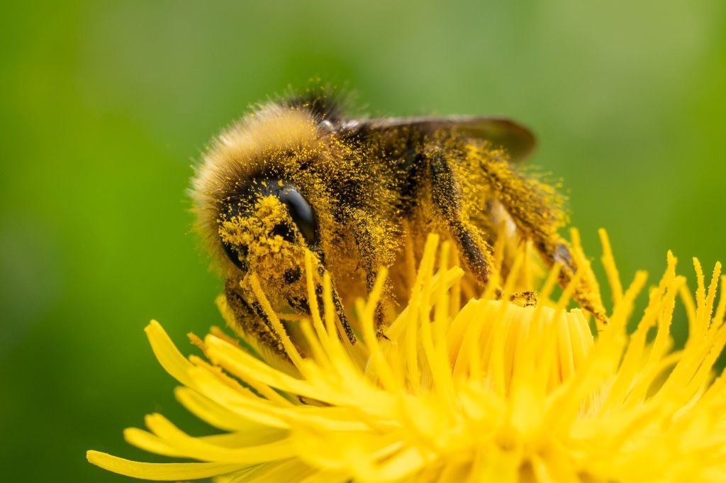 Welcome to the Worst Allergy Season Ever.
