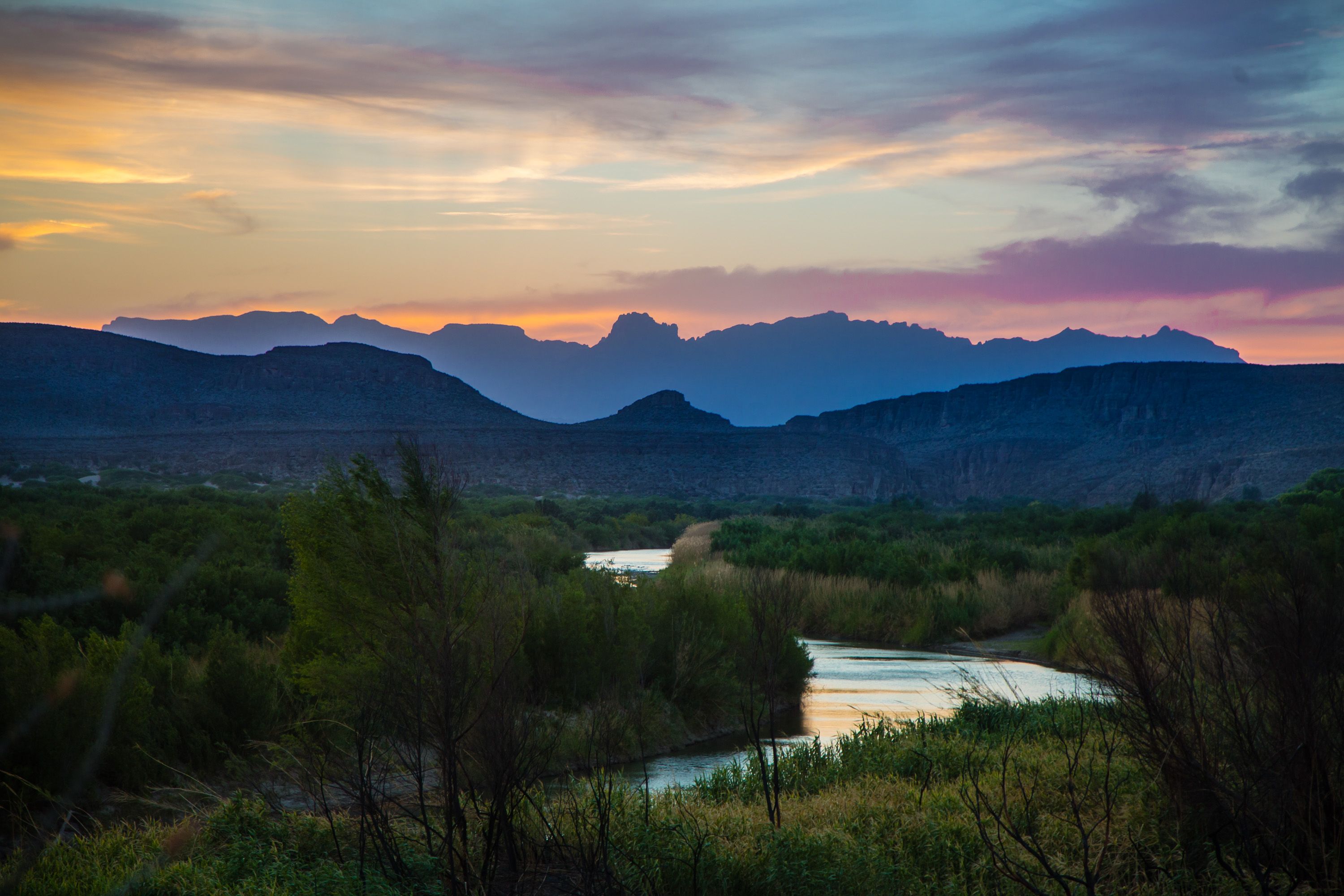 One Man’s Quest to Reforest the Rio Grande Valley.